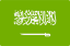 Flag Saudi Arabia Icon